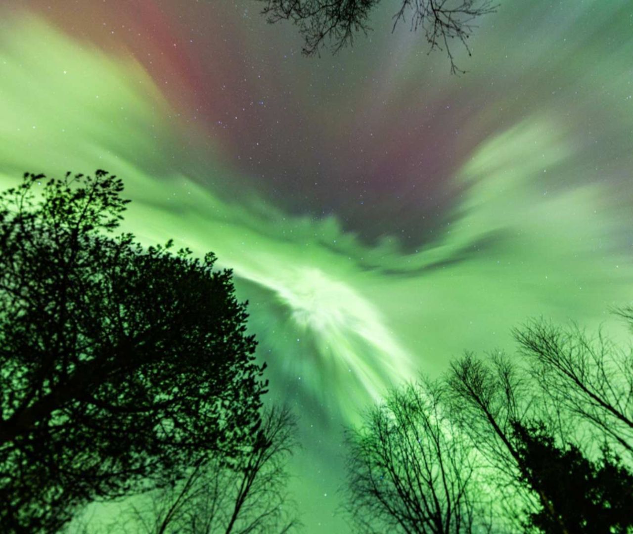 Northern Lights in Ruka