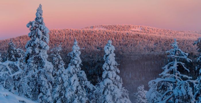 Pyhä