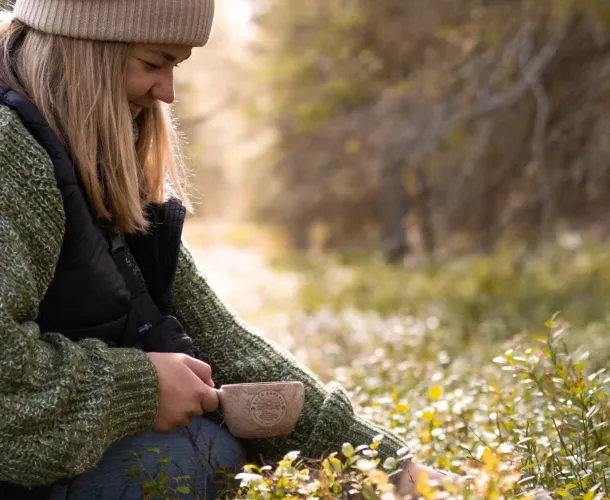 Midnight sun hikes in Ruka