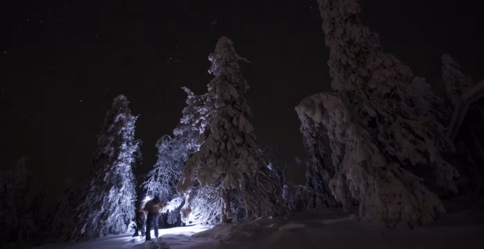 Ruka Safaris