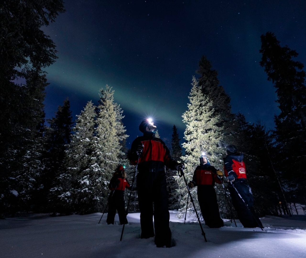Search for Northern Lights with Ruka Safaris